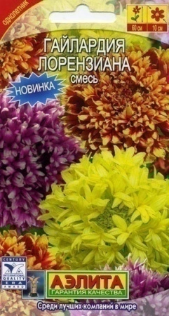 70f41aa5-dcea-11dd-9138-00500454e615-2