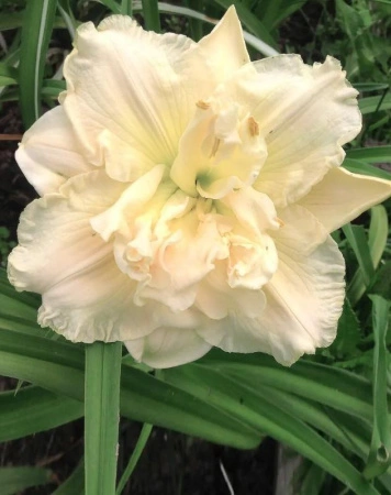 27101cbb-0010-11f0-8915-246e9611e8f5-1