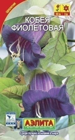 7d524c97-dcea-11dd-9138-00500454e615-2