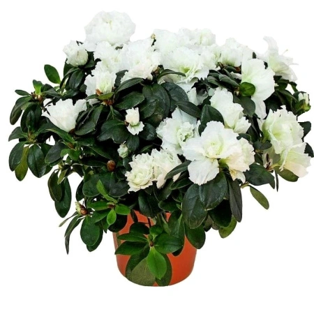 3c2eb3a7-7e0f-11ee-ae0a-001e673ebdea-1