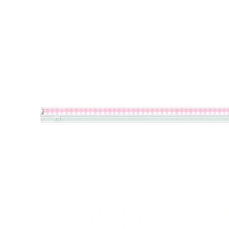 ce75b62f-8264-11eb-aff5-005056c00008-2