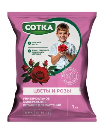 3c586959-d5c0-11f0-891e-246e9611e8f6-1