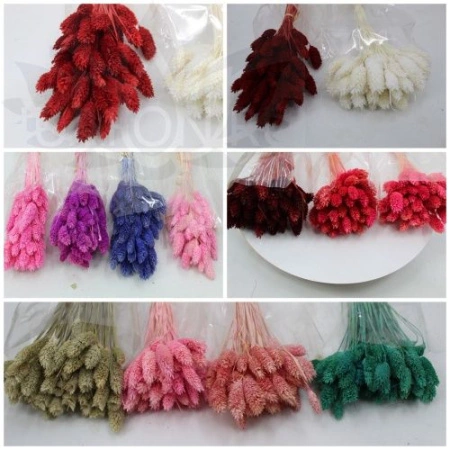 b39671c6-9d01-11ef-8912-246e9611e8f7-1