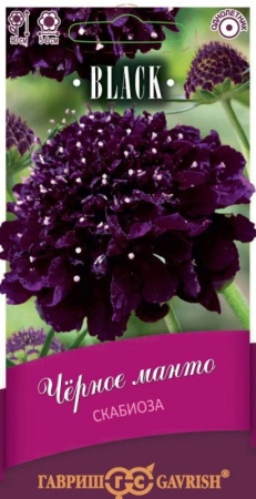 b76daa58-d914-11e0-90f8-00500454e615-1