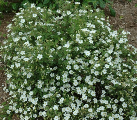 9e510081-112f-11f0-8918-246e9611e8f6-1