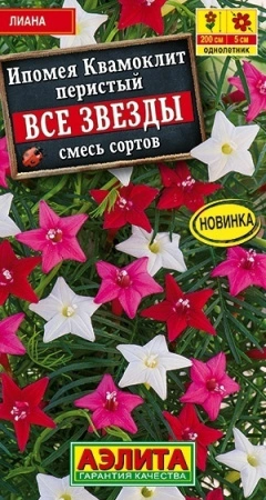 1db88d72-6449-11eb-ad23-005056c00008-1