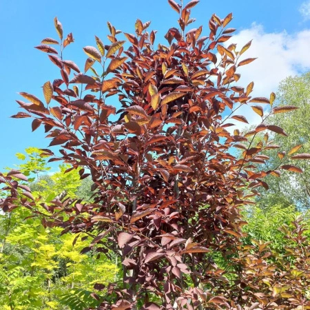 306cc85a-1533-11f0-8918-246e9611e8f6-1