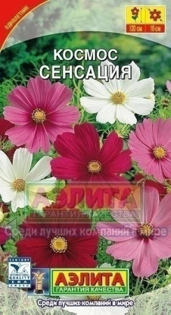 51a3c306-2b02-11e1-be7f-00500454e615-2