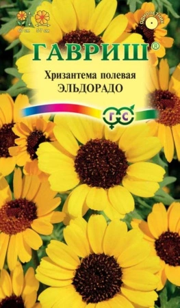 21433dd3-c797-11de-87ae-0019dbe91ea3-1