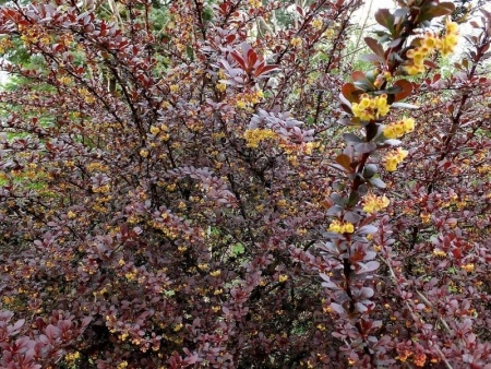 9665b66c-1144-11f0-8918-246e9611e8f6-1