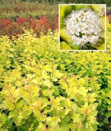 4772cca9-1133-11f0-8918-246e9611e8f6-1