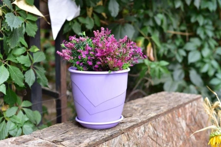 2318cd4a-5751-11ed-aea3-001e673ebdea-1