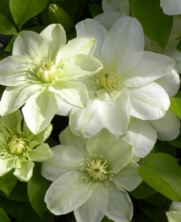 671f6544-fff4-11ef-8915-246e9611e8f5-1