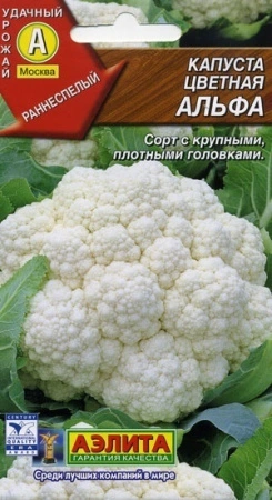 7d524bd7-dcea-11dd-9138-00500454e615-1