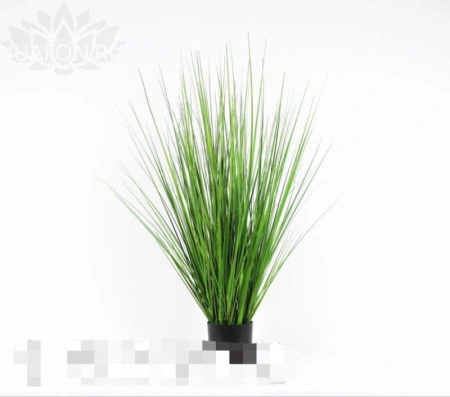 a108f948-5a4b-11f0-891b-246e9611e8f7-1