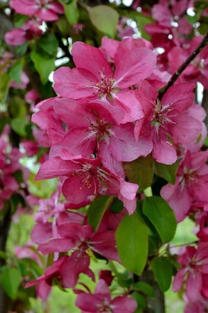 320a9bc8-2fe2-11f0-8918-246e9611e8f6-1