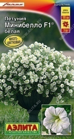 ab0beaa3-f817-11ea-b984-005056c00008-2