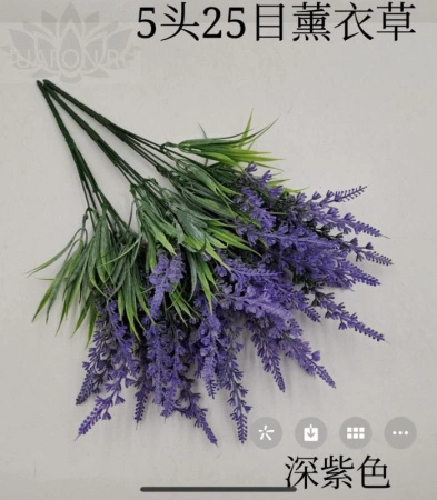 cd7d3ef6-5a64-11f0-891b-246e9611e8f7-1