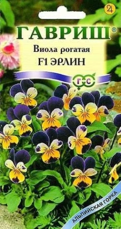 70f419b9-dcea-11dd-9138-00500454e615-2