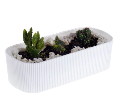 cfa3560a-595d-11ef-8910-246e9611e8f6-1