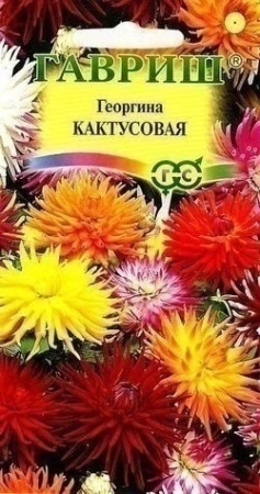 70f41b15-dcea-11dd-9138-00500454e615-2