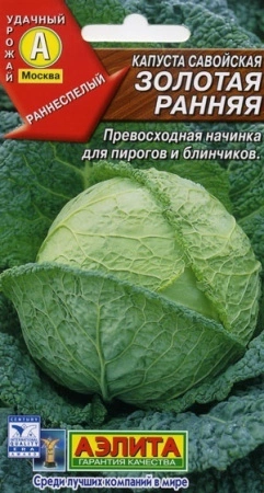 7757a97f-dcea-11dd-9138-00500454e615-1