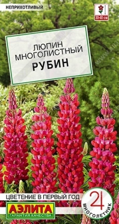 c8eace68-0b3b-11ec-a8a4-005056c00008-1