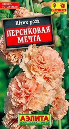 ad572970-dcea-11dd-9138-00500454e615-1 ad572970-dcea-11dd-9138-00500454e615-1