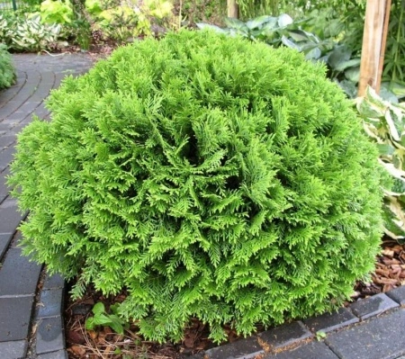 ac83fed8-ecdc-11ee-890b-246e9611e8f5-1