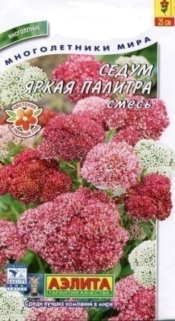 c3a33149-228a-11df-8823-0019dbe91ea3-2