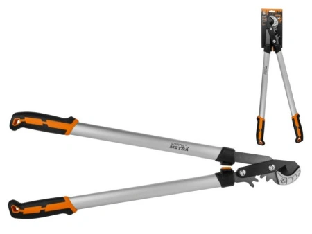 a337f10e-00b9-11f0-8915-246e9611e8f5-1