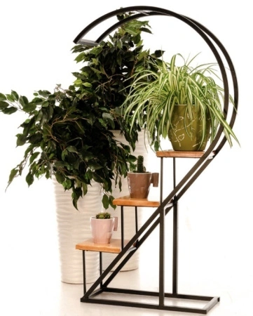 feabacae-363b-11ec-a890-005056c00008-1