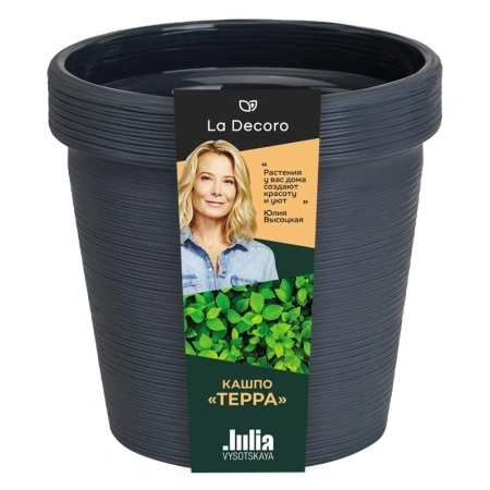 c4a87948-dafa-11ef-8915-246e9611e8f5-1