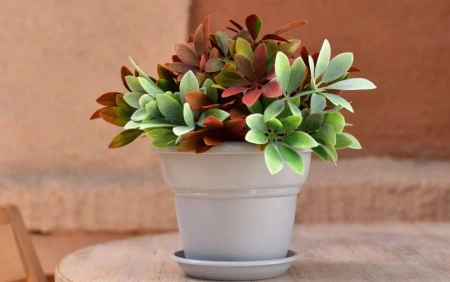 24876b40-5688-11ed-aea3-001e673ebdea-1