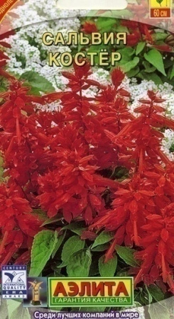 1346333a-2b13-11e1-be7f-00500454e615-2