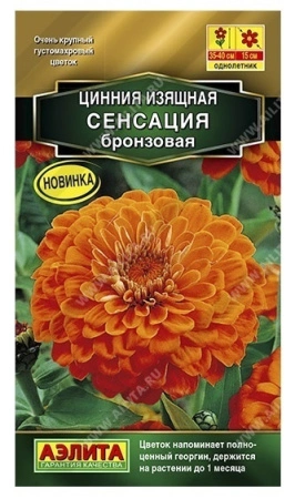 4ea73107-f81e-11ea-b984-005056c00008-1