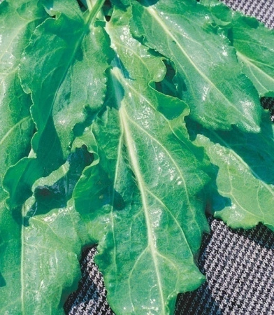 38a5bdcd-8368-11ec-8510-005056c00008-2