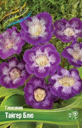 2c3c9a4e-3741-11eb-b90a-005056c00008-1