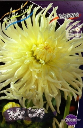 20c3edee-2240-11e0-9fb4-00500454e615-2