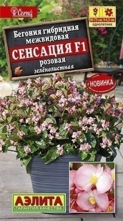 fbd6659a-62f5-11eb-bba4-005056c00008-2