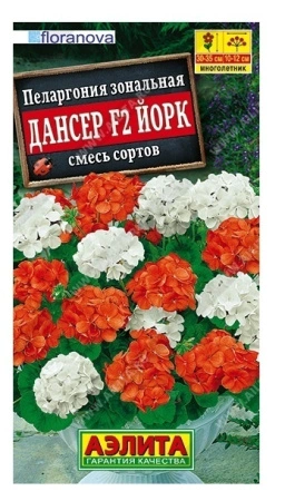 08306350-f80a-11ea-b984-005056c00008-1