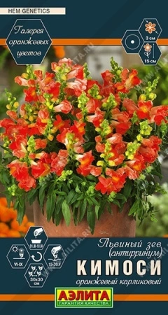 c2a38f97-0b3a-11ec-a8a4-005056c00008-1