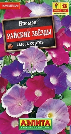 7757a7c8-dcea-11dd-9138-00500454e615-1