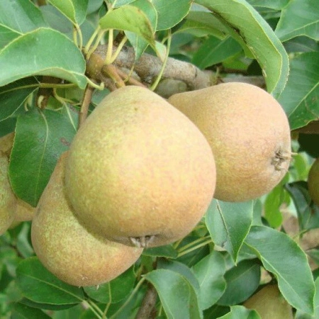 cdd7cfe0-55b2-11f0-891a-246e9611e8f6-1 cdd7cfe0-55b2-11f0-891a-246e9611e8f6-1