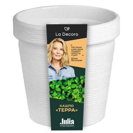 0f3026c1-dafd-11ef-8915-246e9611e8f5-1