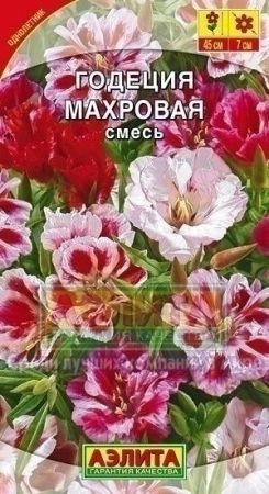 baa6dab3-47cf-11e1-82d8-00500454e615-2