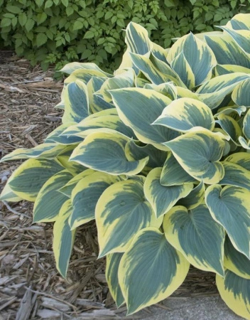 742e006d-000c-11f0-8915-246e9611e8f5-1