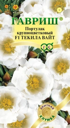 21433db3-c797-11de-87ae-0019dbe91ea3-1