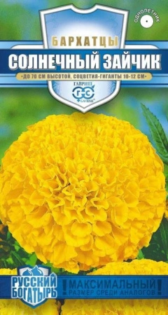 7fd7f6db-a2c9-11e8-9ac1-005056c00008-1