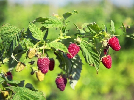 d80a6c4c-25db-11f0-8918-246e9611e8f6-1